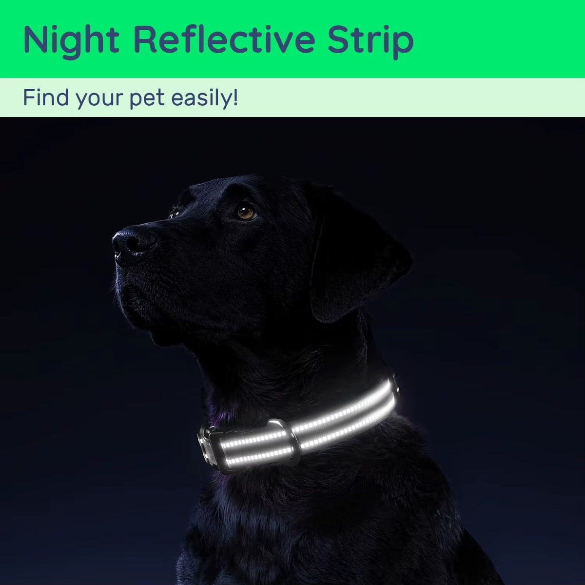 Collar Reflejante para Perro con Funda para AirTag – Ajustable e Impermeable